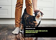 Preventive Care for Cats in Middletown NY
