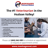 Monhagen Vet: Top Veterinarian in the Hudson Valley!