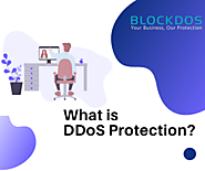 What is DDoS Protection and How can it secure you against DDOS Attacks?