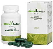 Green Barley Plus - Effective Capsules Containing Green Barley Extract