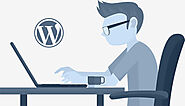 The Growing Popularity of WordPress when it comes to CMS - aresourcepool