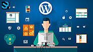 How to Optimize WordPress Website for Better User Experience