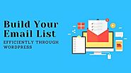 Build Your Email List Efficiently Through WordPress: SEO Guide for E-commerce Websites