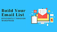 Build Your Email List Efficiently Through WordPress: SFWPExprts