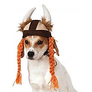 Viking Pet Dog Hat by Rubie's Costume Co – Furry-Happiness