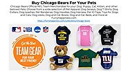 PPT - Buy Bears For Your Pets From Furry Happiness PowerPoint Presentation - ID:10369681