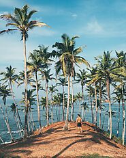 Visit Coconut Island