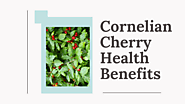 What makes Cornelian Cherry a highly preferred fruit?