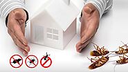 Pest Control Services in Akron OH