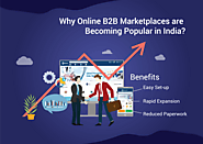 Why Are Online B2b Pharma Marketplaces Becoming Popular In India