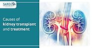 Causes of kidney transplant and treatment