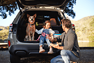 Subaru Pet-Friendly Features: Traveling with Your Furry Friend in Covington