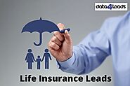 How to Ensure quality while you Buy Life Insurance Lead UK?