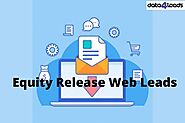 Equity Release Web Leads