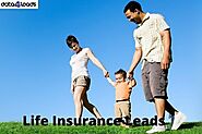 Life Insurance Leads Intent On Selling Insurance Strategy