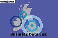 Essential Pillars Of A Business Data List Marketing System For A Firm