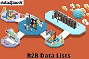 B2B Data Lists