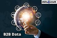 B2B Data Lists