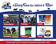 India`s Biggest Hi Tech Organic Dairy Farm in BK Gujarat