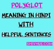 POLYGLOT Meaning in Hindi , 5 helpful Examples