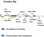 Components of Carolina Rig Setup
