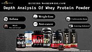 AN IN-DEPTH ANALYSIS OF WHEY PROTEIN POWDER: ext_5637352 — LiveJournal