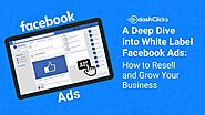 A Deep Dive into White Label Facebook Ads: How to Resell and Grow Your Business?