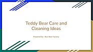 Pro Teddy Cleaning Tips - Speaker Deck