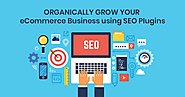 Organically Grow Your Ecommerce Business Using SEO Plugins