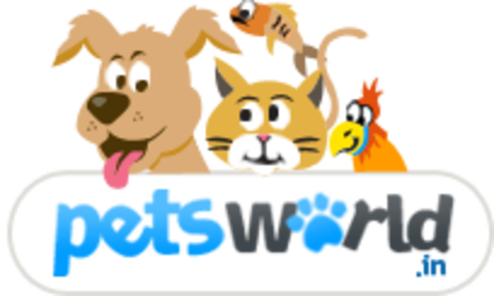 Интернет зоомагазин. Cute dog logo. Кошки и собаки. Макет сайта для животных. Best world pet.