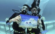 Trang Underwater Wedding Festival