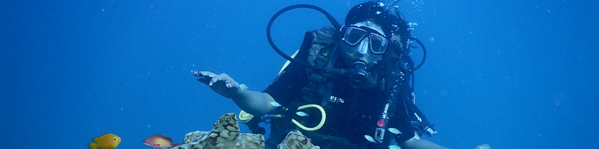 Listly essential equipment for scuba diving must have gear for scuba diving adventures headline