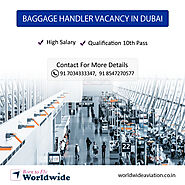 Baggage Handler Job Vacancy