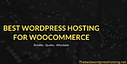 Website at https://thebestwordpresshosting.net/best-hosting-for-wordpress-woocommerce/