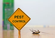 Pest Control West Palm Beach