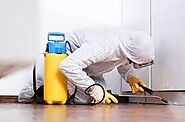 Pest Control Services West Palm Beach, FL