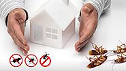 Pest Control West Palm Beach