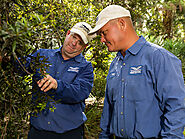 Pest Control Services West Palm Beach FL