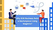 Reasons Why a B2B Business Should Build a Marketplace Using Magento
