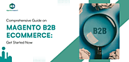 Comprehensive Guide On Magento B2B eCommerce: Get Started Now