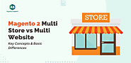 Magento 2 Multistore vs Multi-website: Key Concepts & Basic Differences