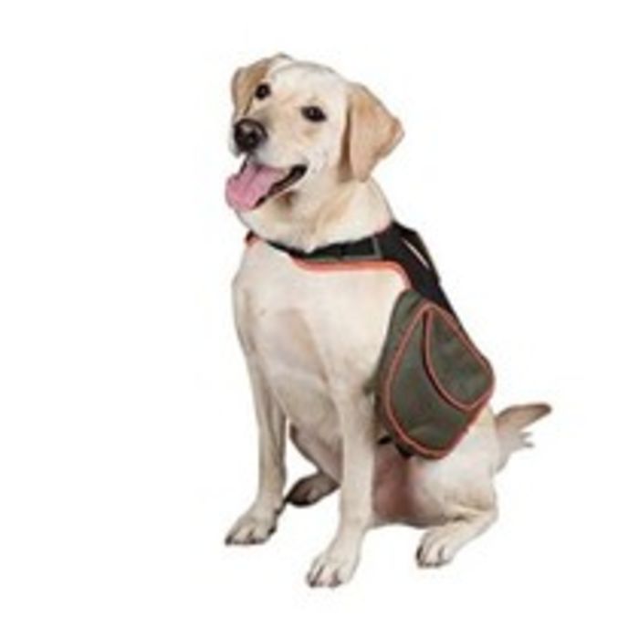 best backpack for dog supplies