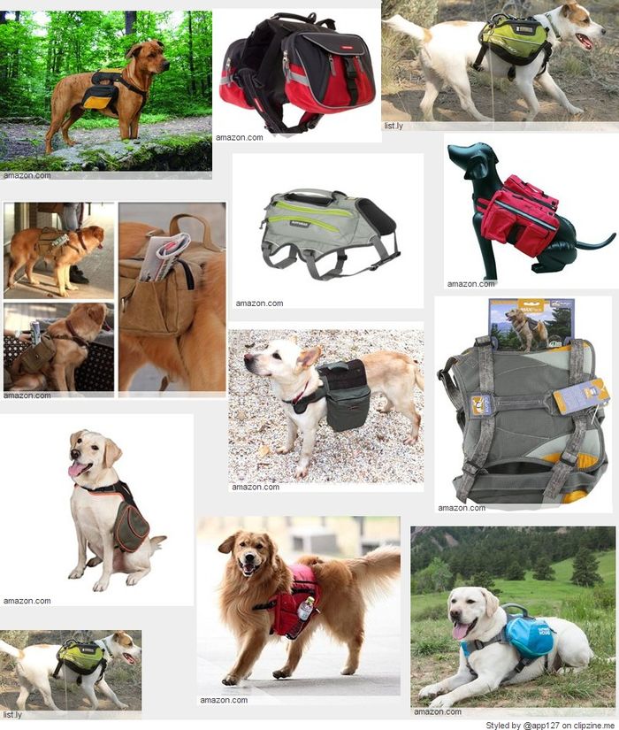 dog backpack for supplies