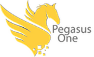 SaaS Software Development Services - Pegasus One