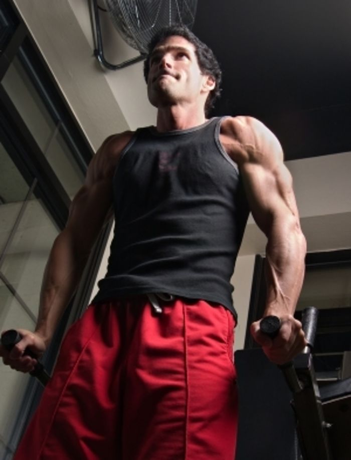 Best Visual Impact Muscle Building Review A Listly List
