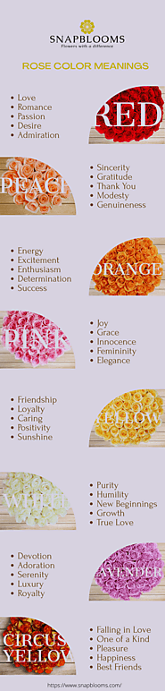 Different Rose Colors Meaning