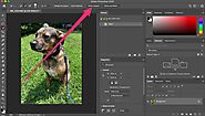 3 Easy Ways to Remove the Background from an Image