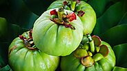 Garcinia Cambogia Manufacturers in India | Nutraceutical Companies