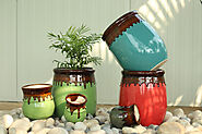 Colorful Ceramic Pots | Surya Nursery Chandigarh