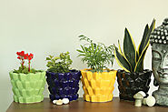 Buy Flower Pots & Planters Online in Chandigarh | Surya Nursery